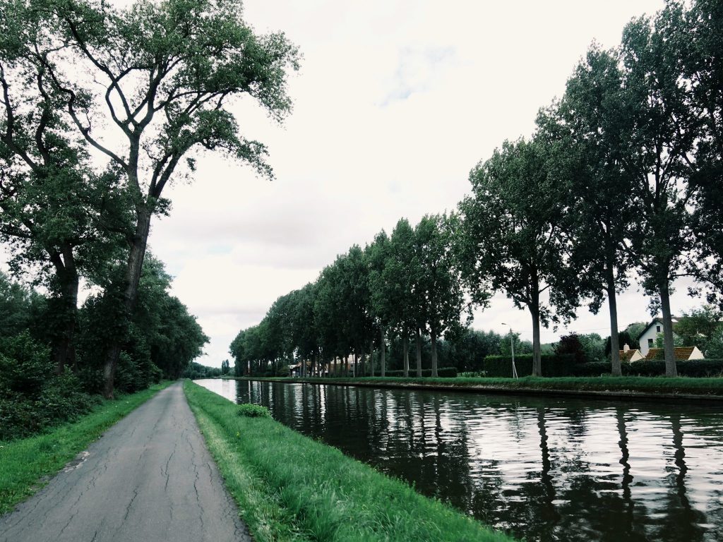 Ein Weg neben einem Kanal gesäumt von Bäumen