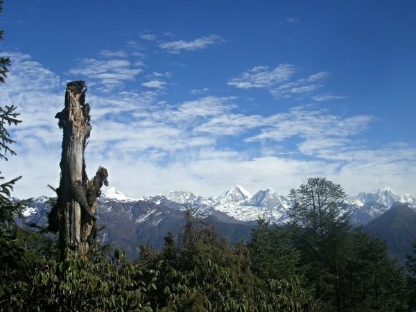 Am Weg von Phedi nach Gul Bhanjyang auf der Helambu Trekkingroute in Nepal