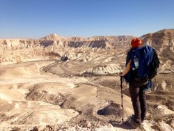 Ausblick auf den Canyon nahe Sde Boker in der Wüste Negev