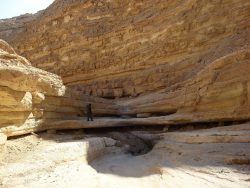 Im eindrucksvollen Daroch Canyon