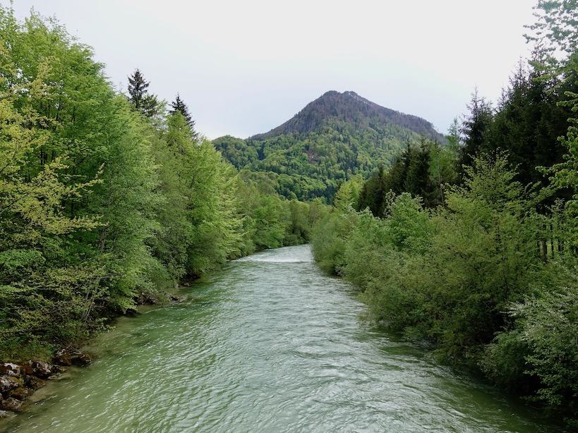 Türkiser Fluss mit bewaldetem Flussufer und hügeligem Berg im Hintergrund